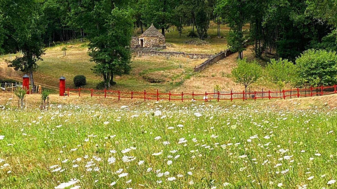 Вілла Eco-Hameau Du Sentier Des Sources Сарла-ла-Канеда Екстер'єр фото