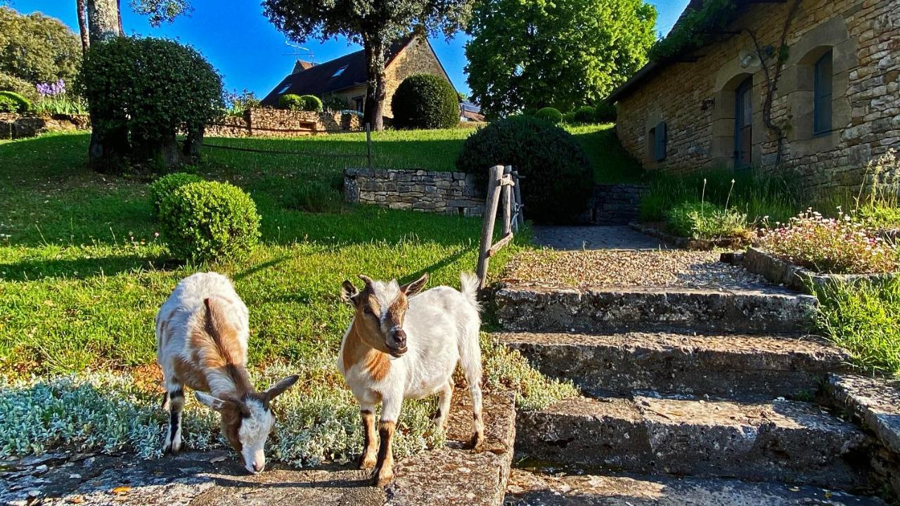 Вілла Eco-Hameau Du Sentier Des Sources Сарла-ла-Канеда Екстер'єр фото